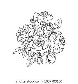 vector contour rose flowers bud leaf branch bouquet coloring book pattern elements
