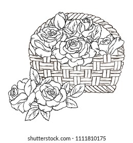 vector contour rose flowers leaf bud basket coloring book summer love