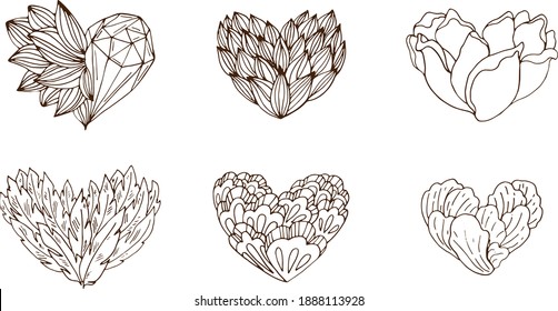 Contorno vectorial de corazones estilizados con plantas, plumas y cristales.