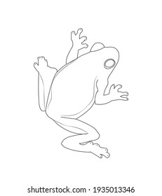 vector contour simple frog on white background
