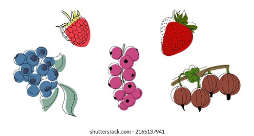 Contorno de vectores iconos simples. Un boceto de un juego de bayas. Silhouette de frambuesas, fresas, grosellas, arándanos y arándanos.