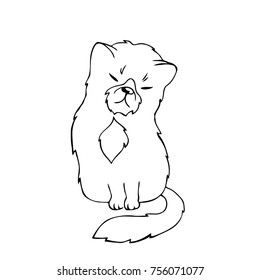 vector contour sleepy cat