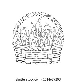 vector contour snowdrop flowers in the basket coloring page
