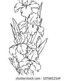 vector contour spring iris flowers bud leaves branch coloring book vertical border seamless repeating pattern