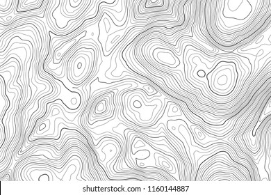 Vector contour topographic map background. Topography and geography map grid abstract backdrop. Business concept. Vector illustration