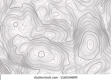 Vector contour topographic map background. Topography and geography map grid abstract backdrop. Business concept. Vector illustration