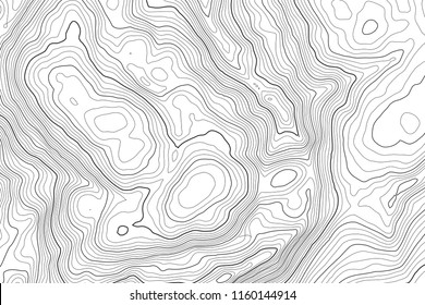 Vector contour topographic map background. Topography and geography map grid abstract backdrop. Business concept. Vector illustration