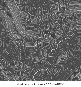 Vector contour topographic map background. Topography and geography map grid abstract backdrop. Business concept. Vector illustration