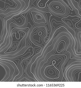 Vector contour topographic map background. Topography and geography map grid abstract backdrop. Business concept. Vector illustration