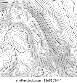 Vector contour topographic map background. Topography and geography map grid abstract backdrop. Business concept. Vector illustration
