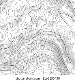 Vector contour topographic map background. Topography and geography map grid abstract backdrop. Business concept. Vector illustration