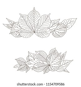 vector contour trees chestnut linden ash willow leaf botanical hand drawn sketch coloring book element top line set pattern for your design