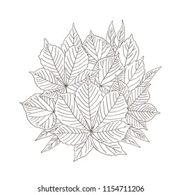 vector contour trees chestnut linden ash willow leaf botanical hand drawn sketch coloring book element set bouquet pattern for your design