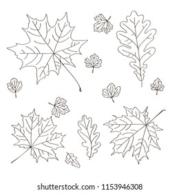 Vector Contour Trees Maple Oak Carved Stock Vector (Royalty Free ...