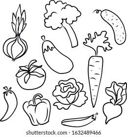 
vector contour vegetables, harvest cabbage, pepper, carrots