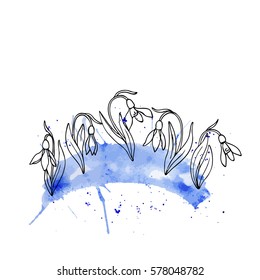 vector contour white black sketch of snowdrop with blue watercolor splash