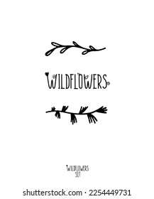 Vector contour wildflower plant on a white or transparent background from a set of wildflowers. Separate clipart, bookmarks, pattern, background