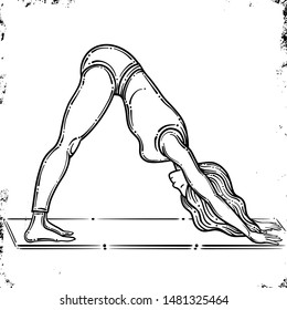 Vector contour of woman in the yoga pose, downward dog pose. Adho Mukha Svanasana pose. Vector. Isolated on white background