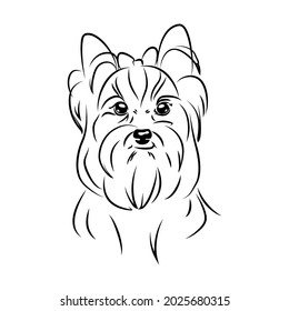 Vector Contour Yorkshire Terrier Head Logo Stock Vector (Royalty Free ...