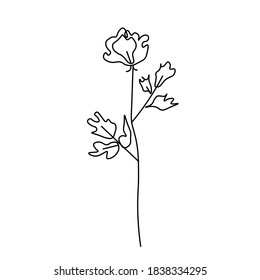 Vektorgrafik vergossen rosarote Linie. Romantische Blumendekoration im Doodle-Stil. Grafische Botanik-Handzeichnung für den Valentinstag. Design für soziale Netzwerke, Artikel, Poster, Karten, Web.