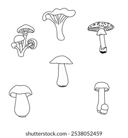 Vector contours of mushrooms, fly agaric, white, chanterelle, boletus, honey mushrooms for children's activities isolated on a white background