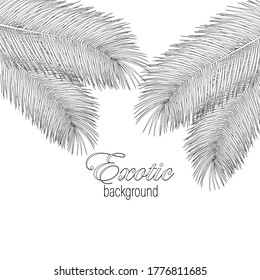 
Vector contours of palm leaves. Exotic Abstract Background