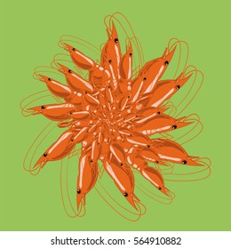 Vector Cooked Red Shrimps Isolated on Green Background. Tasty Sea Food.