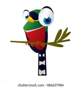 vector cool image of animal. Funny happy Trogon Bird
