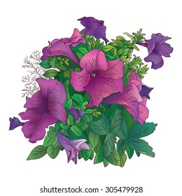 vector copy petunia flowers with bright flowers and leaves