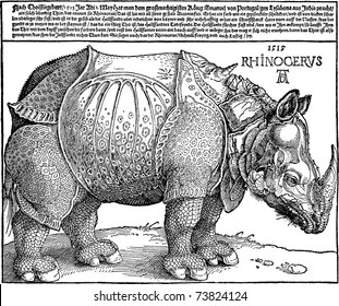 Vector copy of a Rhinoceros woodcut (1515) by German medieval artist Albrecht Durer