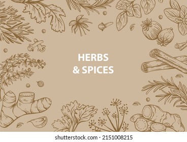 Vector copy space linear illustrations with spices and herbs, basil, parsley, coriander, rosemary, cinnamon, chili, pepper, thyme, turmeric, black pepper, ginger, oregano, cumin, poppy, anise, garlic