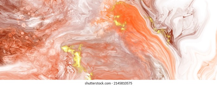 Vector coral banner. Hand drawn abstract paint brush stroke. Wave element.
