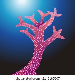 Vector coral drawing. Beautiful topical corals. Coral with underwater Background.