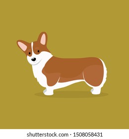 Vector Corgi dog on yellow background