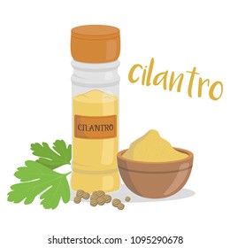 Vector coriander illustration isolated in cartoon style. Spanish name. Herbs and Species Series