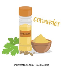 Vector coriander illustration isolated in cartoon style. Herbs and Species Series