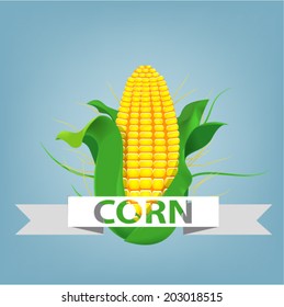 vector corn