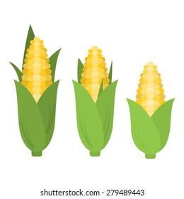 Vector corn in flat style