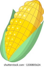 Vector corn illustration design element