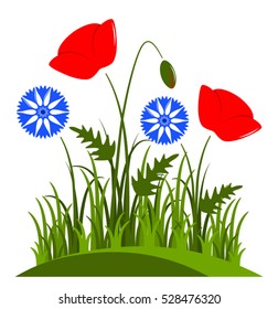 vector corn poppy and cornflowers in grass isolated on white background