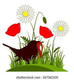 vector corn poppy, daisies and bird with worm isolated on white background