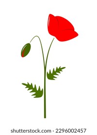 amapola de maíz vectorial aislada en fondo blanco