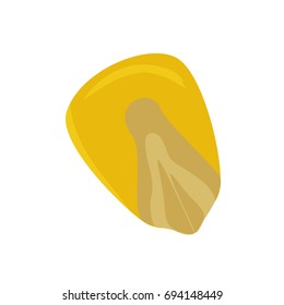 Vector corn seed