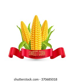 Vector corn. Three ear of corn with leaves and red ribbon. Element for design