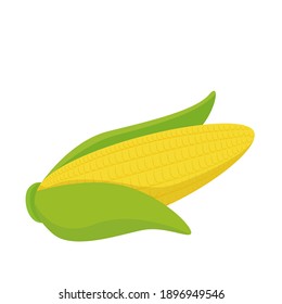 Vector corn. Vegetable illustration for farm market menu. Healthy food design