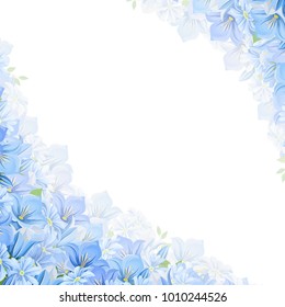 Vector corner background with blue flowers.