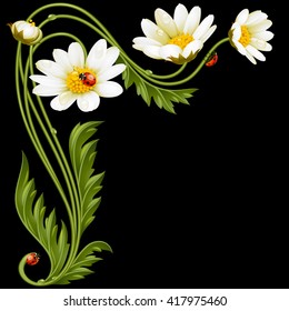 Vector corner pattern with chamomile and ladybug