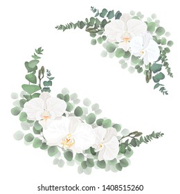 Vector corners for floral design. White Orchid flowers, eucalyptus, green leaves, plants. All elements are isolated.