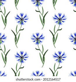Vector - cornflowers seamless pattern, floral illustration.