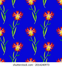 Vector - cornflowers seamless pattern, floral illustration.